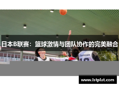 日本B联赛：篮球激情与团队协作的完美融合