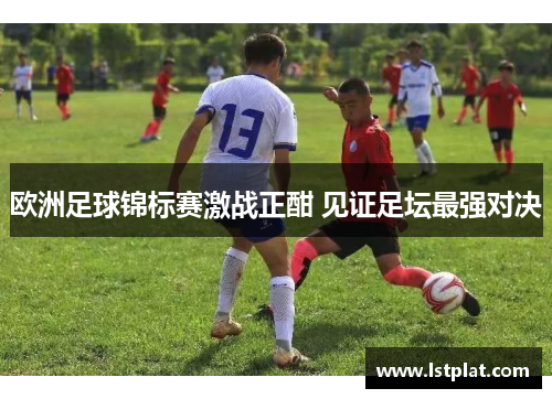 欧洲足球锦标赛激战正酣 见证足坛最强对决 欧洲足球锦标赛激战正酣 见证足坛最强对决