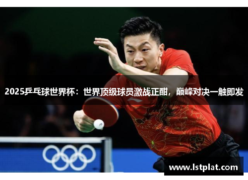 2025乒乓球世界杯：世界顶级球员激战正酣，巅峰对决一触即发
